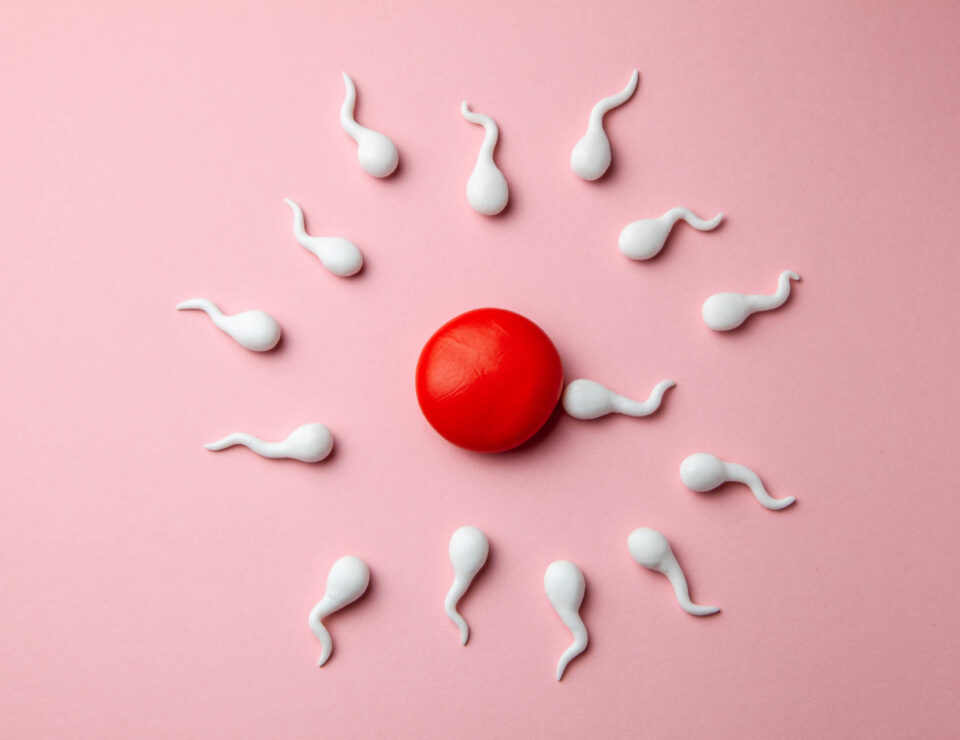 Active sperm cells swim to the egg on a pink background. The concept of pregnancy, fertilization of the egg.